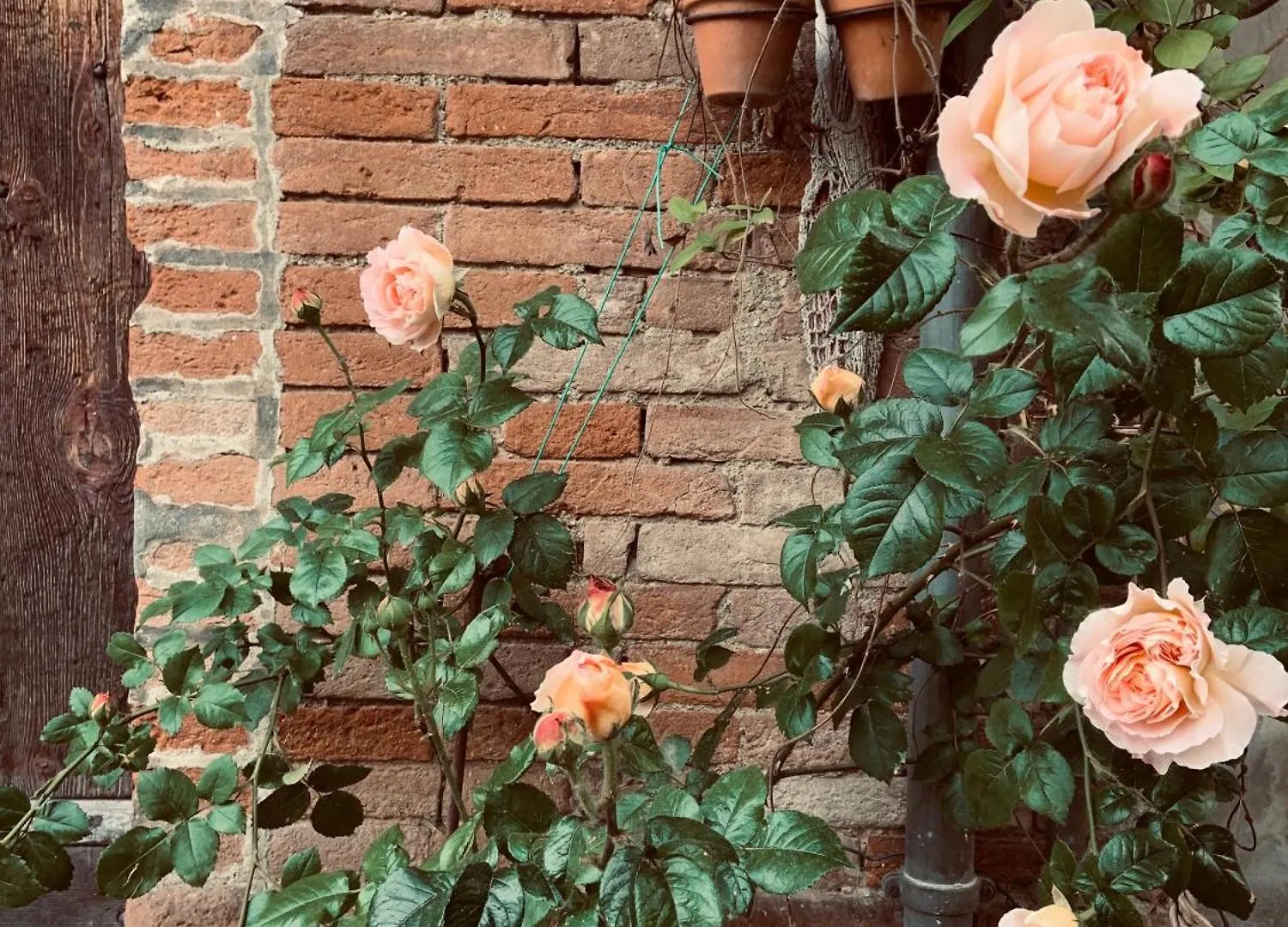 Le Dimore De Il Borgo Del Balsamico Albinea