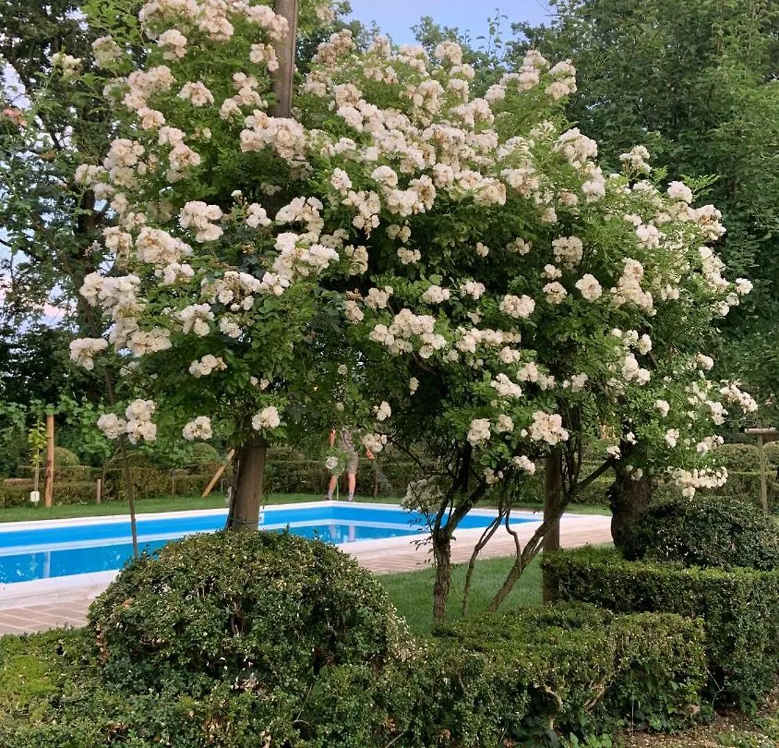 Le Dimore De Il Borgo Del Balsamico Albinea