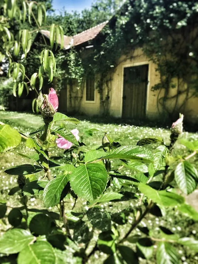 Le Dimore De Il Borgo Del Balsamico Albinea Ferienhaus